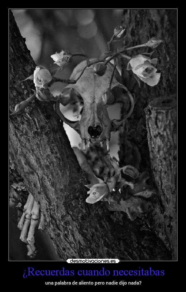 carteles vida dolor mels desmotivaciones