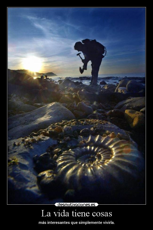 carteles vida vida historia naturaleza binario10 geologia paleontologia desmotivaciones