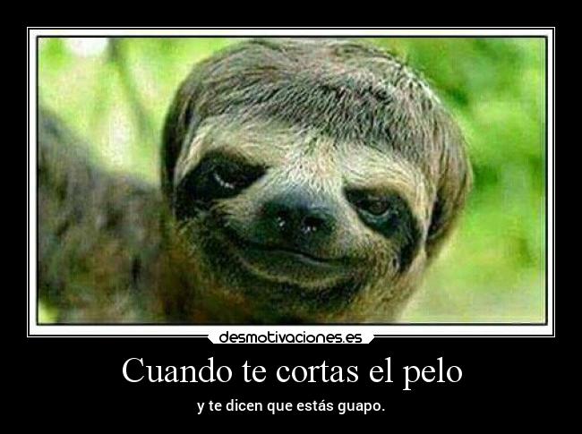 Cuando te cortas el pelo -