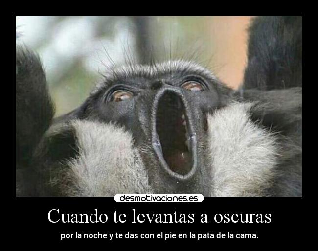 Cuando te levantas a oscuras -
