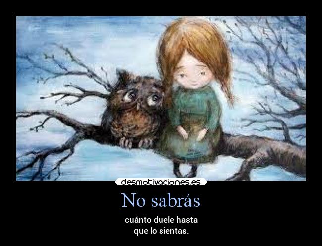 No sabrás -