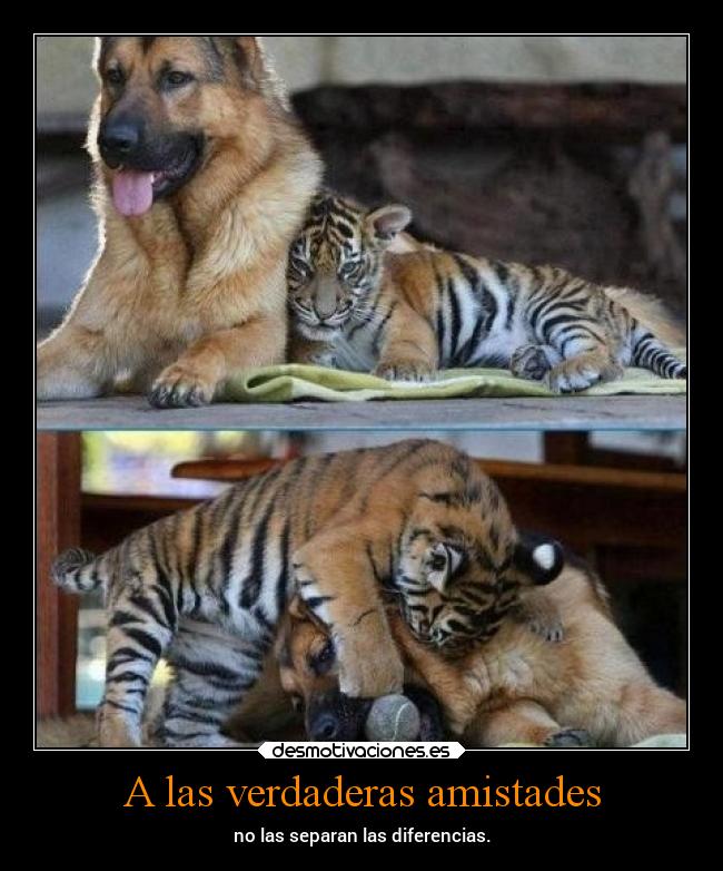 carteles abrazos alegria alma amistad amor confianza filosofia desmotivaciones dokuro hatsune desmotivaciones