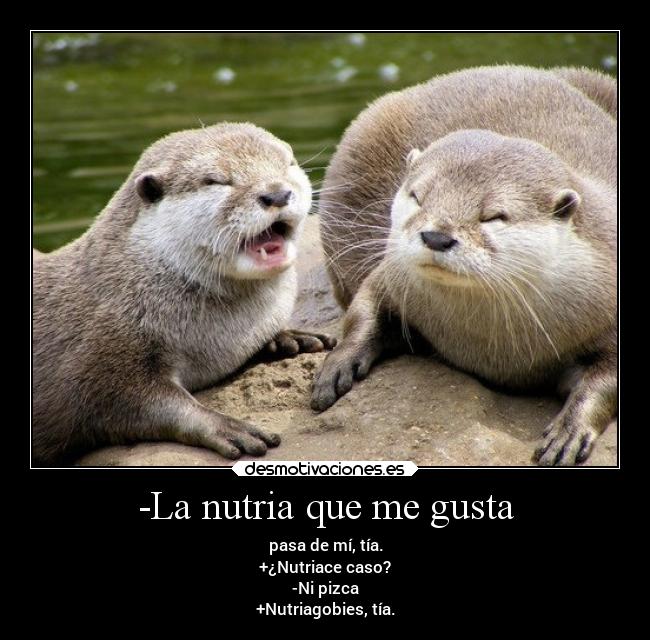 -La nutria que me gusta -