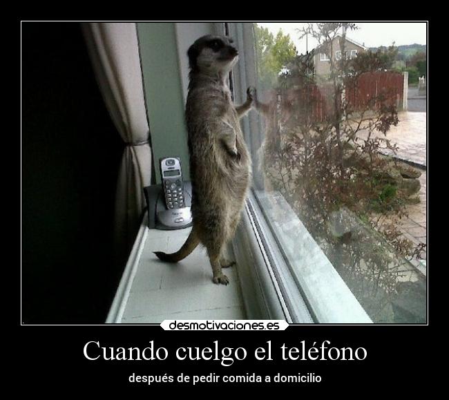 Cuando cuelgo el teléfono - 