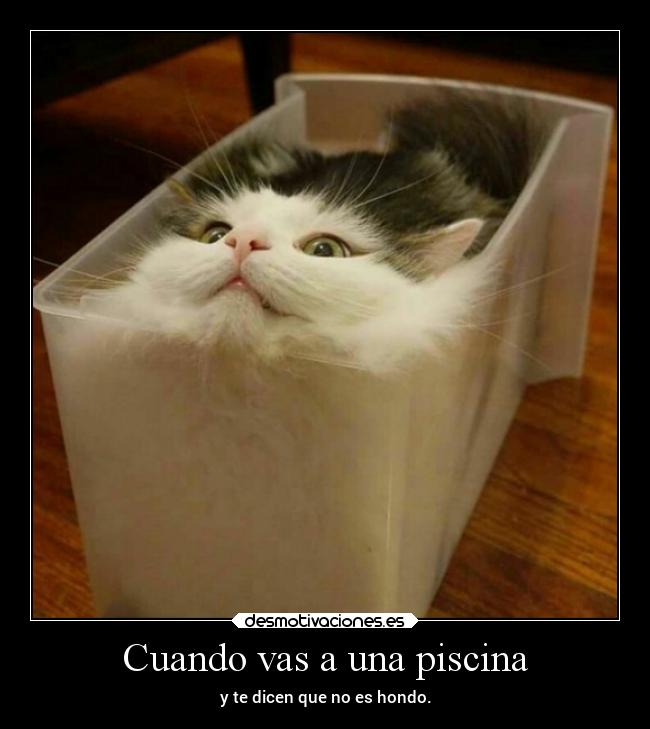 Cuando vas a una piscina -