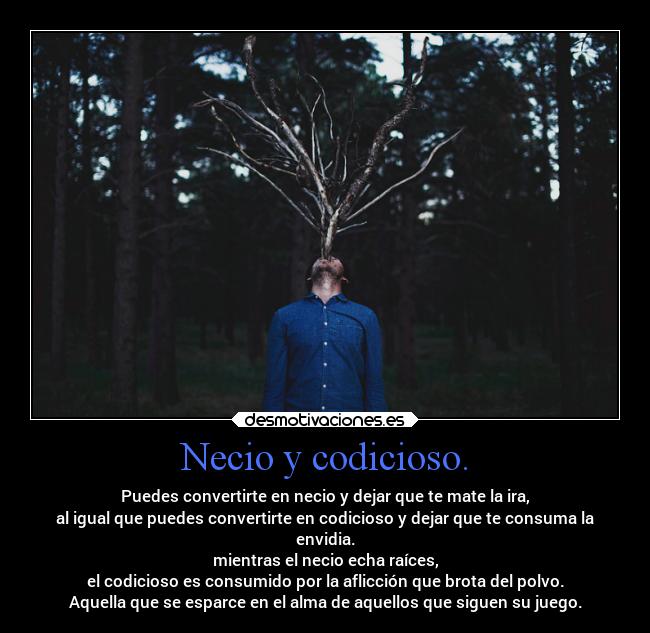 Necio y codicioso. - Puedes convertirte en necio y dejar que te mate la ira,
al igual que puedes convertirte en codicioso y dejar que te consuma la
envidia.
mientras el necio echa raíces,
el codicioso es consumido por la aflicción que brota del polvo.
Aquella que se esparce en el alma de aquellos que siguen su juego.