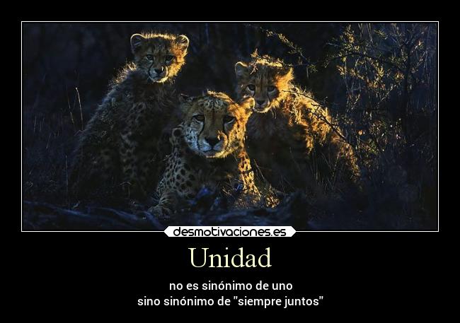 Unidad - 