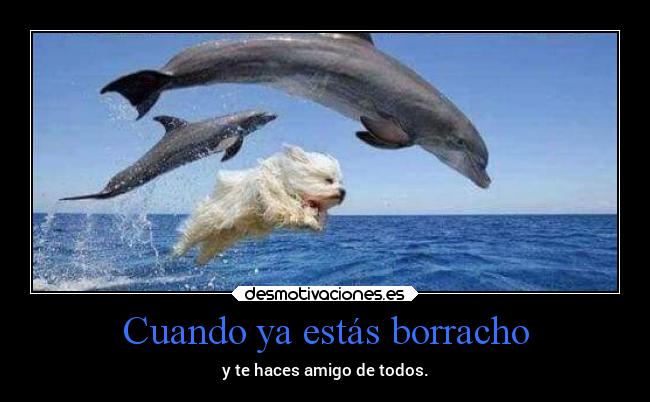 carteles amistad desmotivaciones