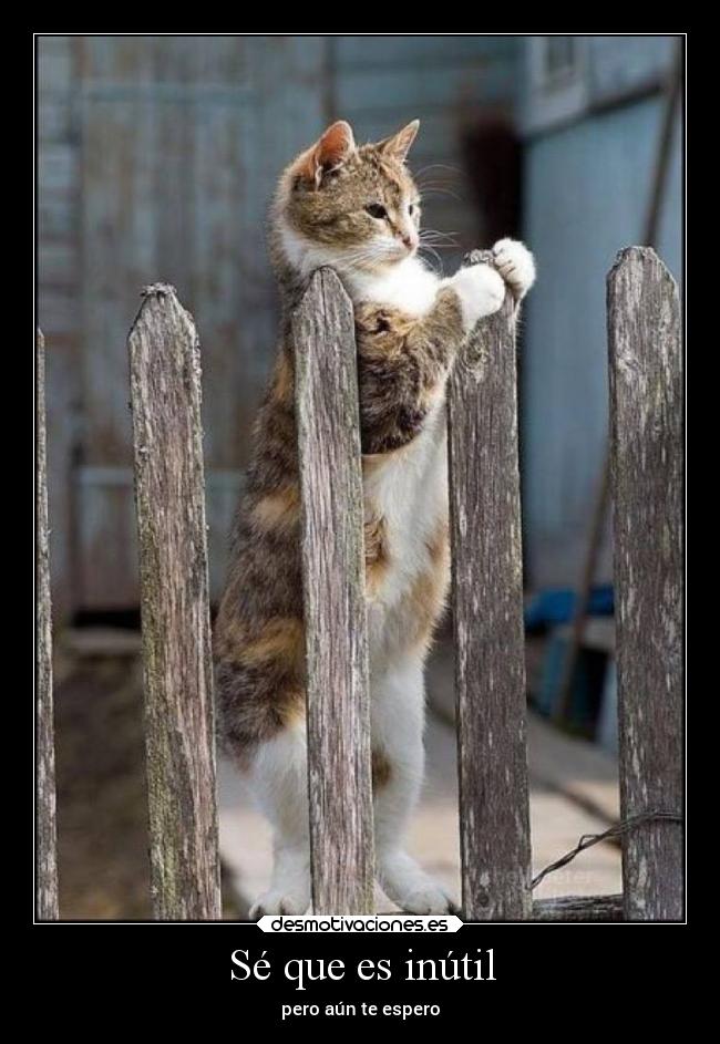 carteles amor confianza desmotivaciones desmotivaciones