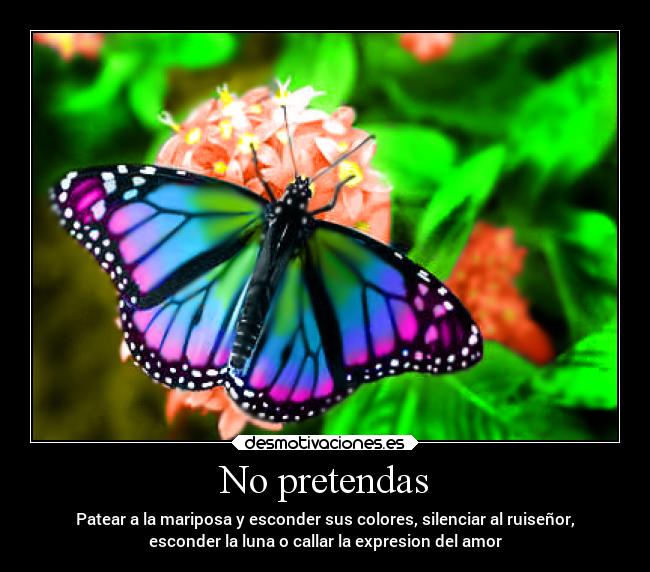 No pretendas -