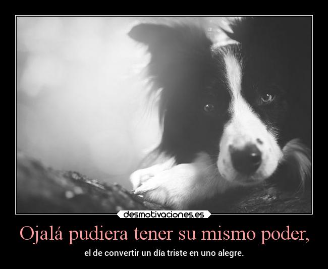 Ojalá pudiera tener su mismo poder, - 