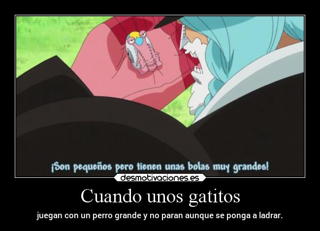 carteles anime humor risa gatos perro raptorhunters harukaze erosekai onepiece franky desmotivaciones