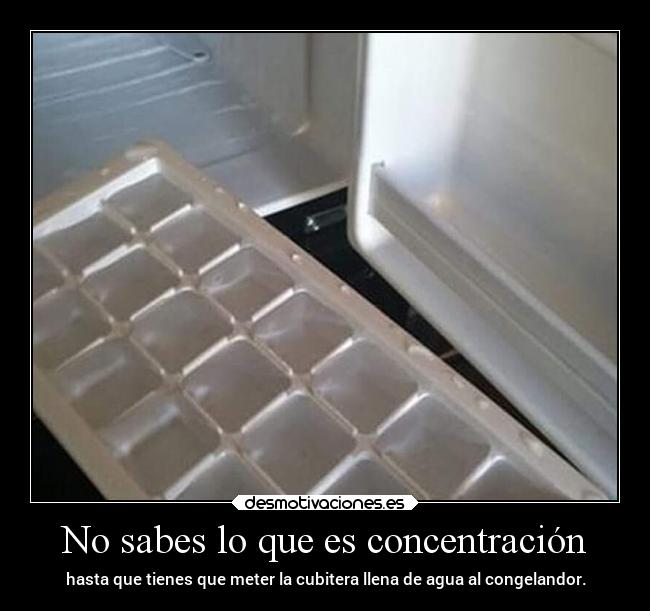 No sabes lo que es concentración - 