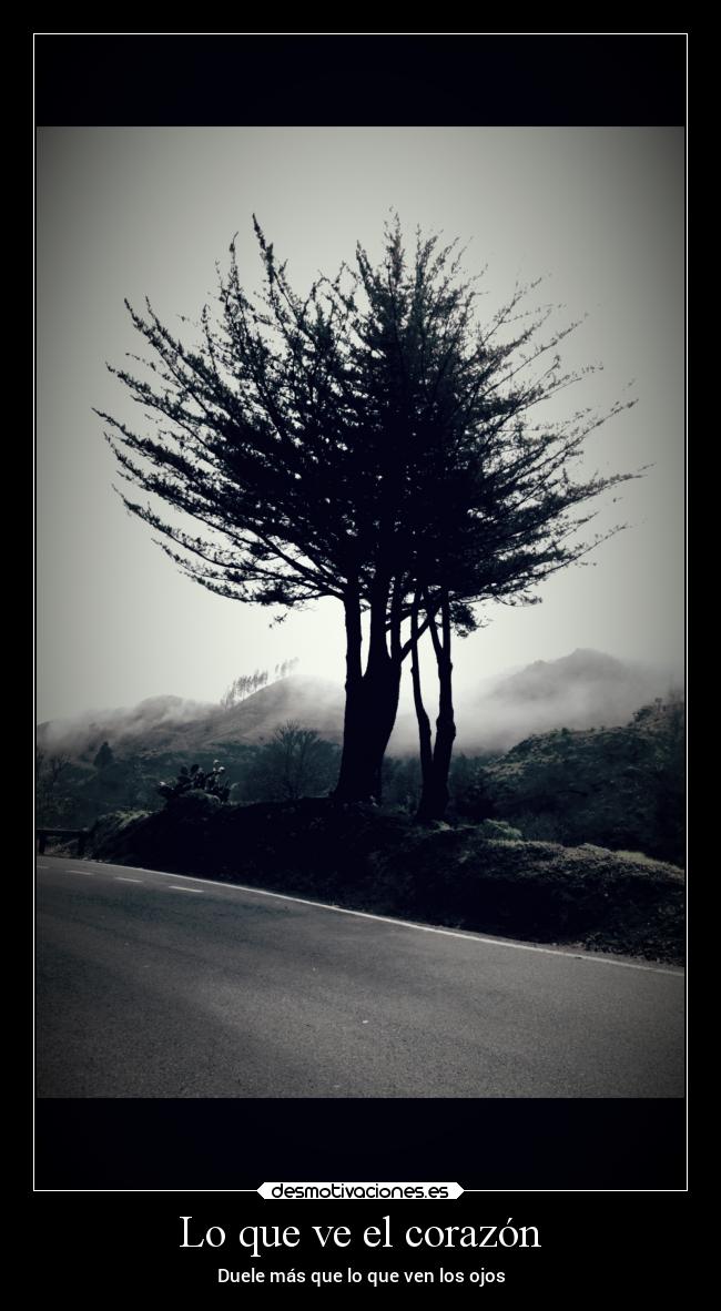 Lo que ve el corazón -