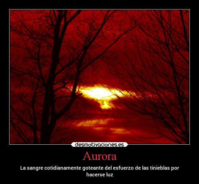 carteles desmotivaciones aurora sangre goteante esfuerzo tinieblas luz desmotivaciones