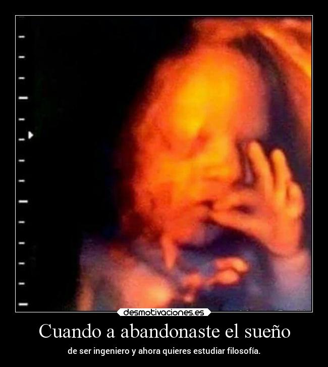 carteles filosofia estudiar feto suenos ingeniero porros desmotivaciones