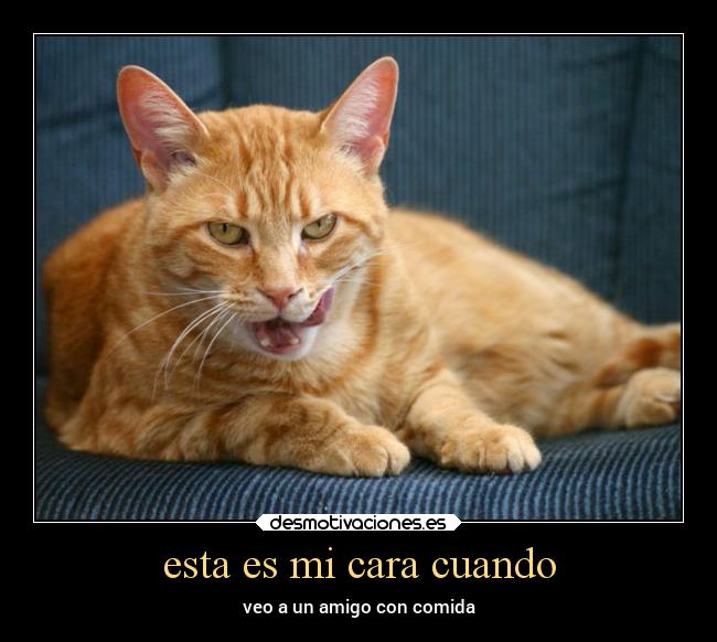 esta es mi cara cuando - veo a un amigo con comida