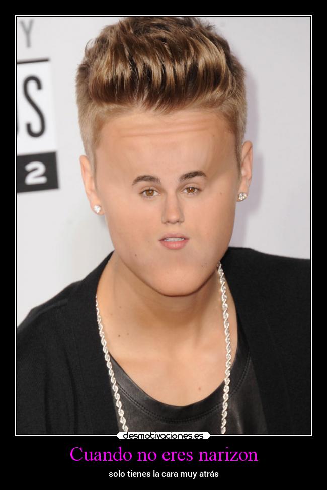 carteles memes animales narizon chistes desmotivaciones