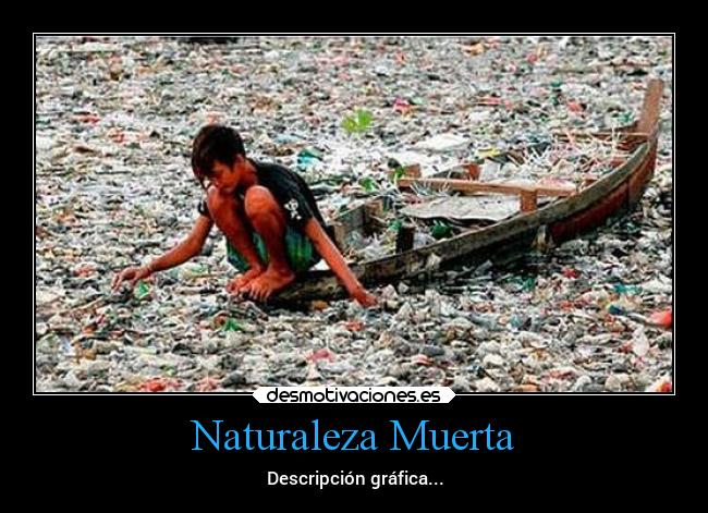 Naturaleza Muerta -