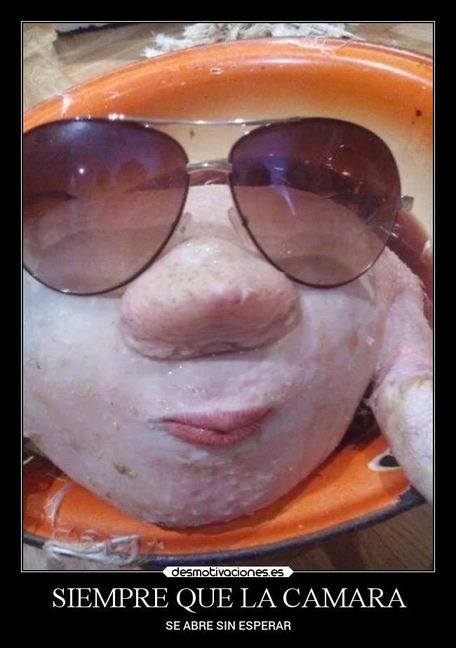 SIEMPRE QUE LA CAMARA - SE ABRE SIN ESPERAR