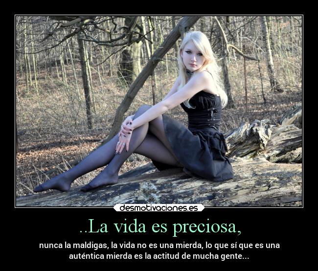 ..La vida es preciosa, - nunca la maldigas, la vida no es una mierda, lo que sí que es una
auténtica mierda es la actitud de mucha gente...