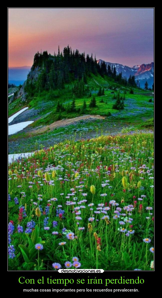 carteles vida desmotivaciones chopper igbt springcreatorsupdate primavera desmotivaciones