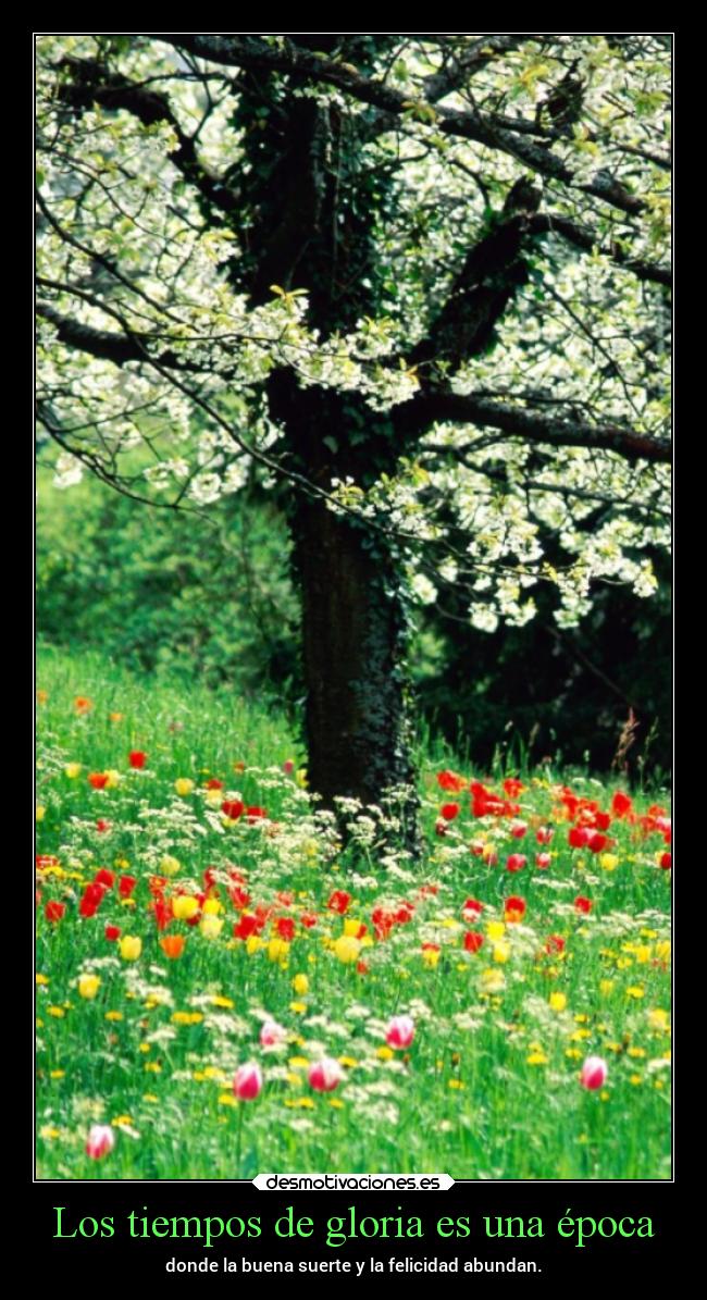 carteles vida desmotivaciones chopper igbt springcreatorsupdate primavera desmotivaciones