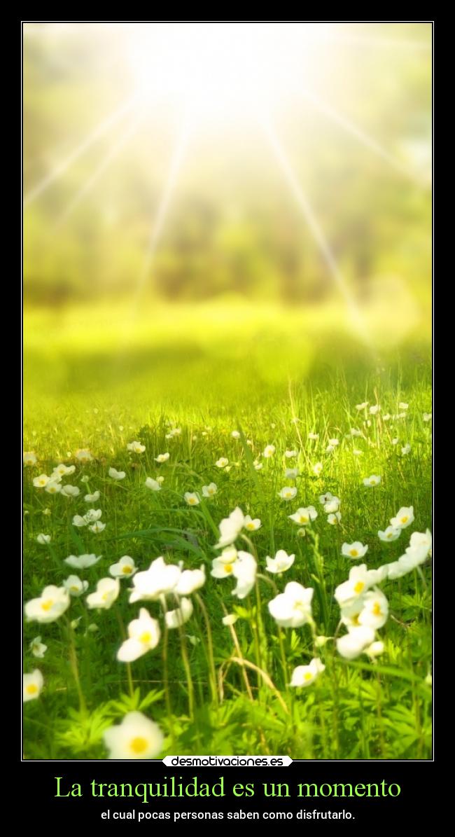 La tranquilidad es un momento - el cual pocas personas saben como disfrutarlo.