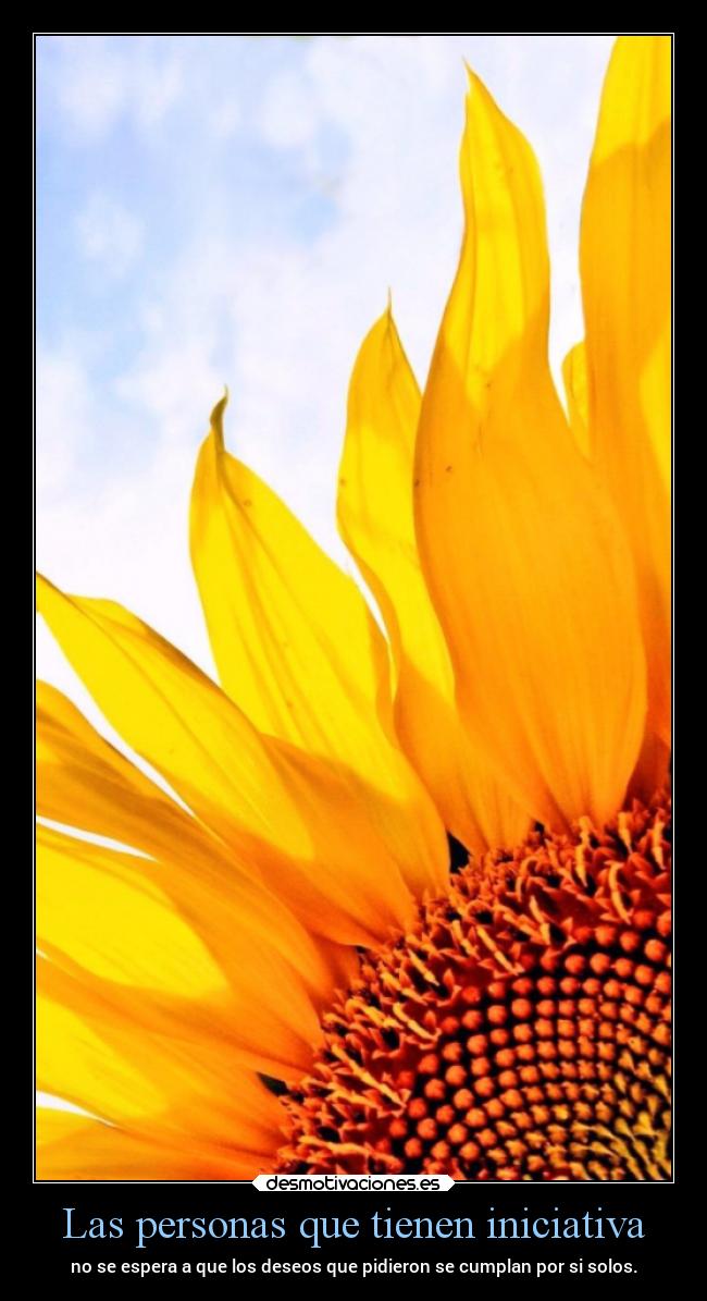 carteles vida desmotivaciones chopper igbt springcreatorsupdate primavera desmotivaciones