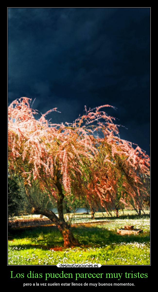 carteles vida desmotivaciones chopper igbt springcreatorsupdate primavera desmotivaciones