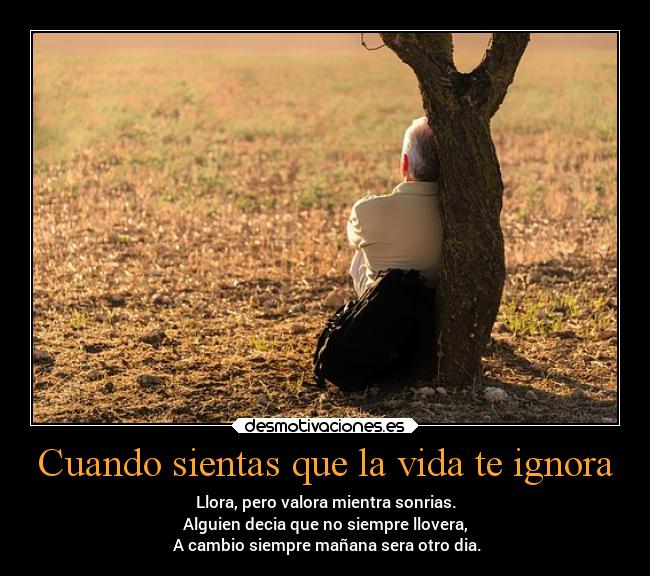Cuando sientas que la vida te ignora -