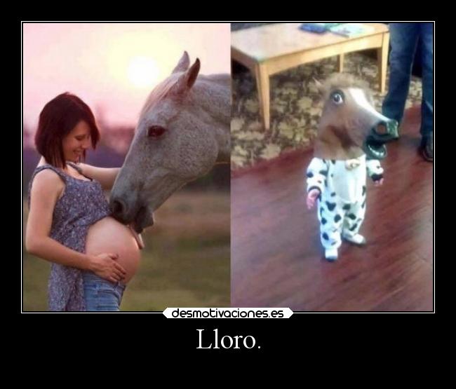 carteles abrazos aleinad2002 twitter desmotivaciones