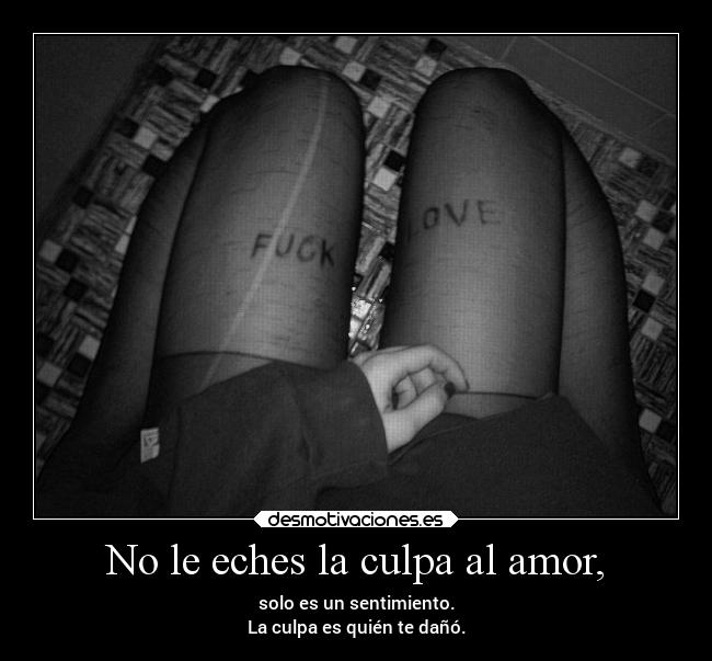 No le eches la culpa al amor, - 