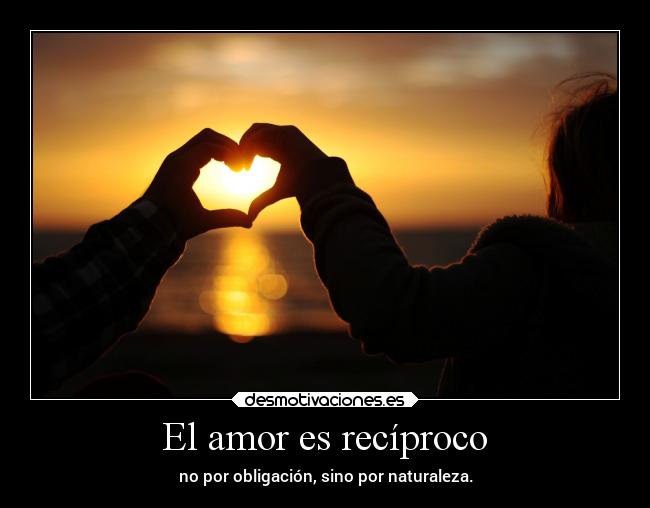 carteles amor amor frases sentimientos desmotivaciones