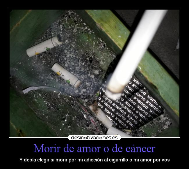Morir de amor o de cáncer - 