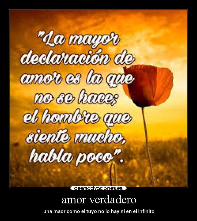 carteles amor amor desmotivaciones