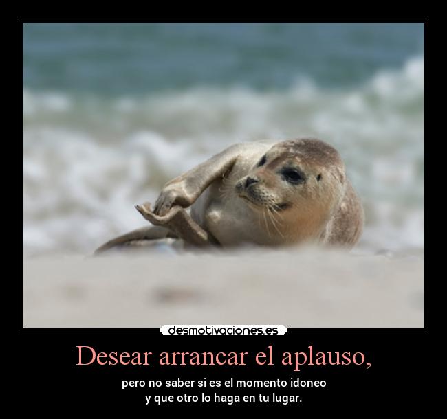 carteles animales humor confianza desmotivaciones