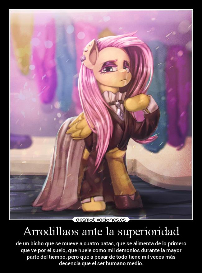 Arrodillaos ante la superioridad - de un bicho que se mueve a cuatro patas, que se alimenta de lo primero
que ve por el suelo, que huele como mil demonios durante la mayor
parte del tiempo, pero que a pesar de todo tiene mil veces más
decencia que el ser humano medio.