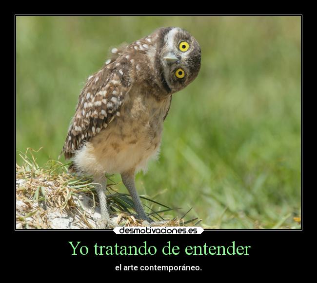 carteles arte animales humor pensamientos desmotivaciones