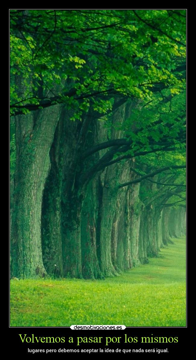 carteles desmotivaciones chopper igbt springcreatorsupdate bosques desmotivaciones