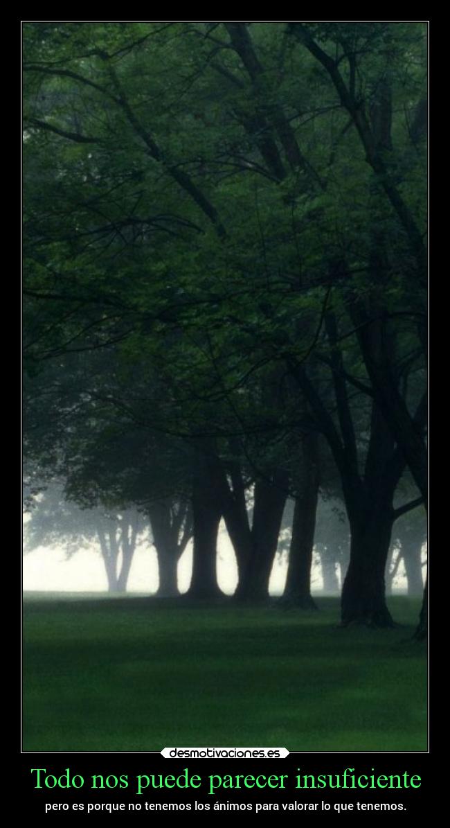 carteles desmotivaciones chopper igbt springcreatorsupdate bosques desmotivaciones