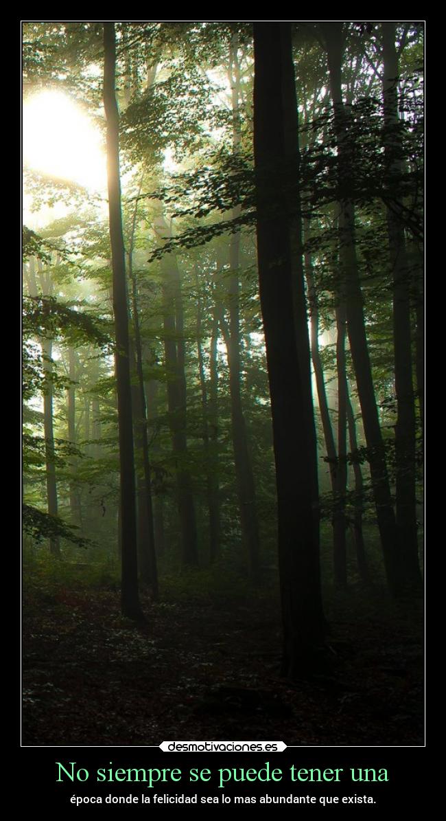 No siempre se puede tener una - 