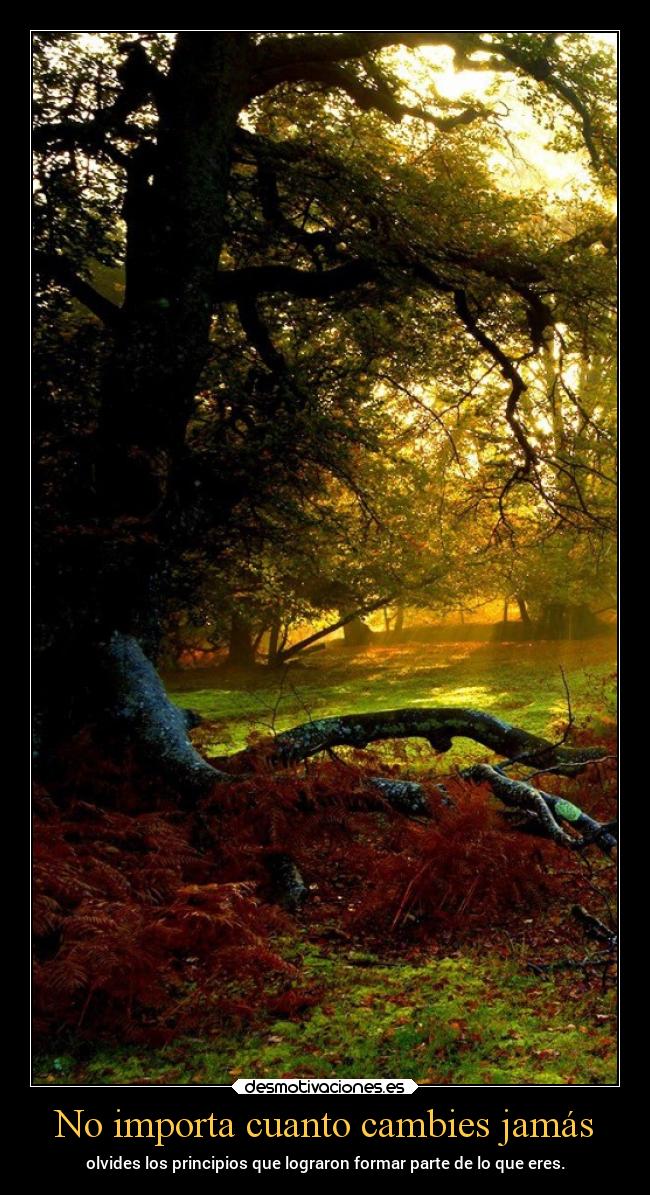 No importa cuanto cambies jamás - 