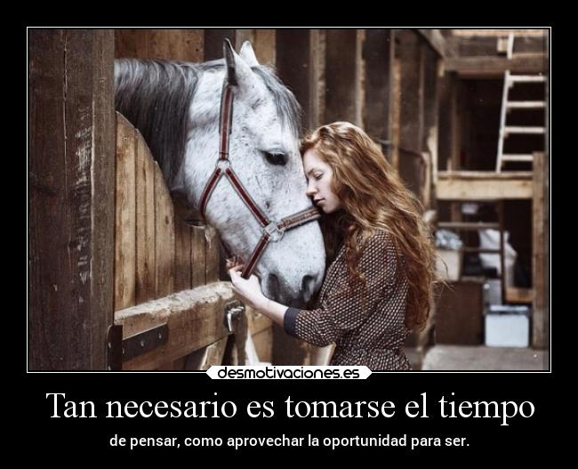 Tan necesario es tomarse el tiempo - 