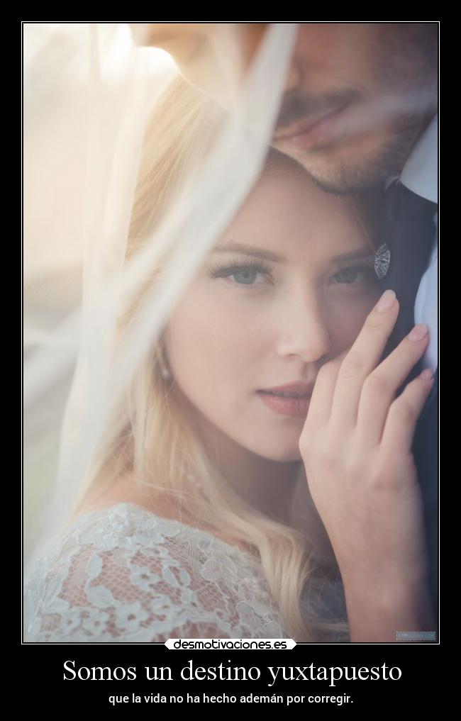 carteles destino debilidad deseos srx dulcex desmotivaciones