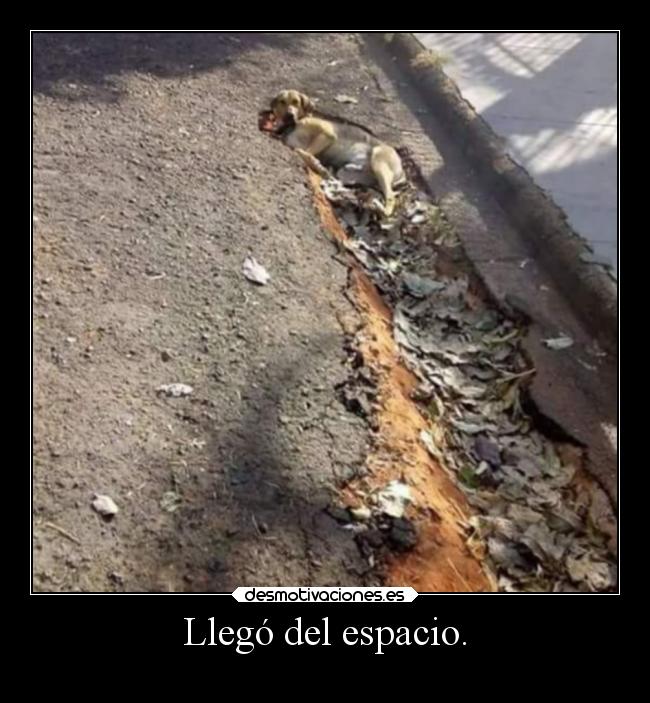 Llegó del espacio. -