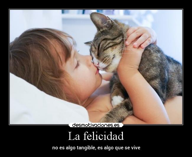 carteles felicidad confianza amor animales gatos felicidad desmotivaciones