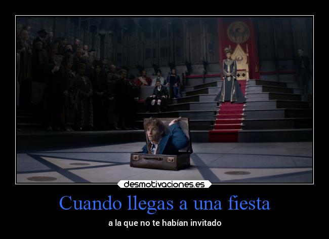 carteles fiesta humor animalesfantasticos unicorniosrosasyazules newtscamander desmotivaciones