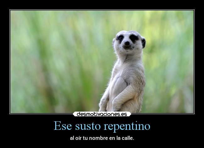 Ese susto repentino -