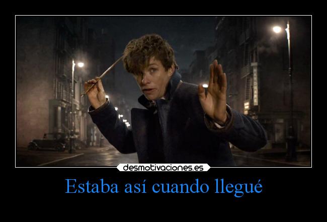 carteles humor animalesfantasticos unicorniosrosasyazules newtscamander desmotivaciones